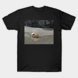 I Want to Go Back Into the Sea Now T-Shirt